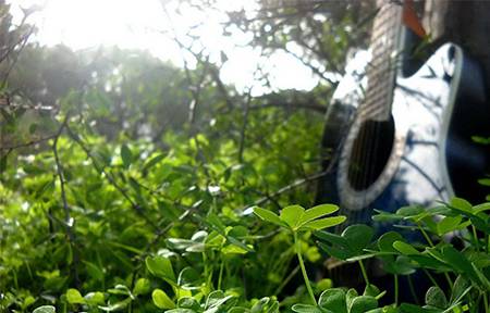 Música en la naturaleza